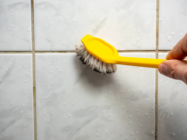 Best Localized Mold Remediation (e.g., coastal areas, humid climates) in Glasco, NY