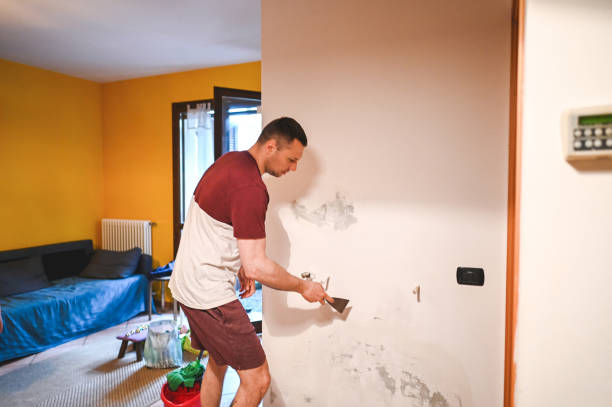 Best Mold Remediation for Specific Building Types in Glasco, NY